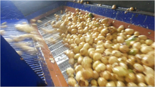 不同規格的淀粉加工設備工藝流程與配置分析