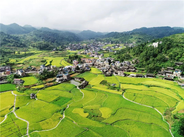 農(nóng)村改革