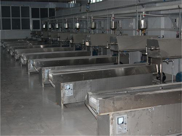 粉條機 粉條機