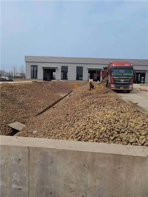 簡要分析紅薯淀粉加工中清洗輸送設備的重要性
