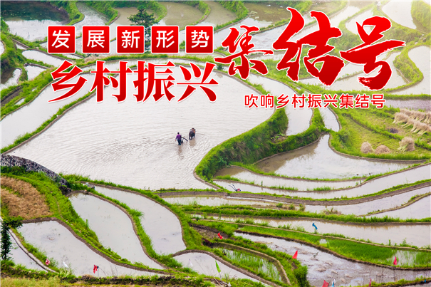 鄉(xiāng)村振興